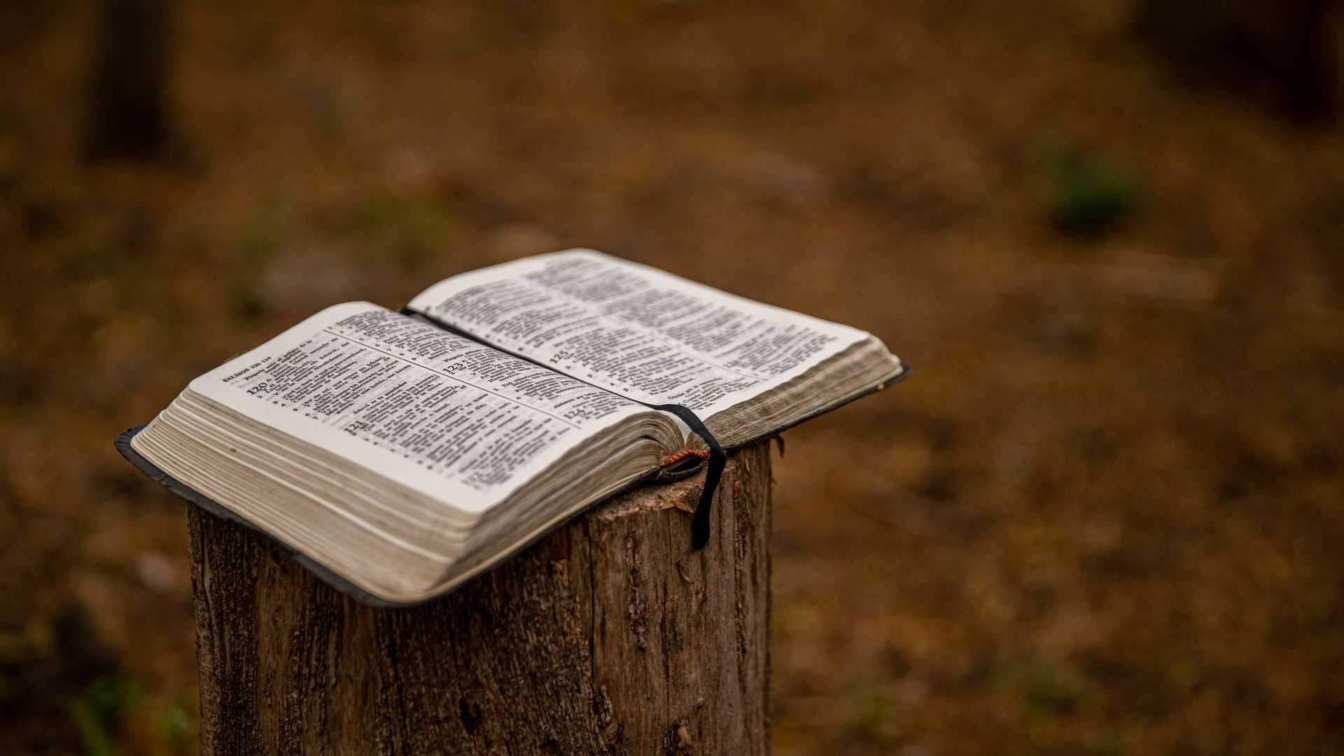 An open Bible on a wooden table with warm morning sunlight falling across its pages